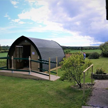 Shanagarry / Ballycotton Glamping Pod Cork Luaran gambar